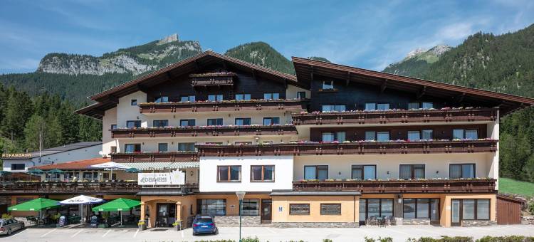 爱德维斯高山酒店(Alpenhotel Edelweiss)图片