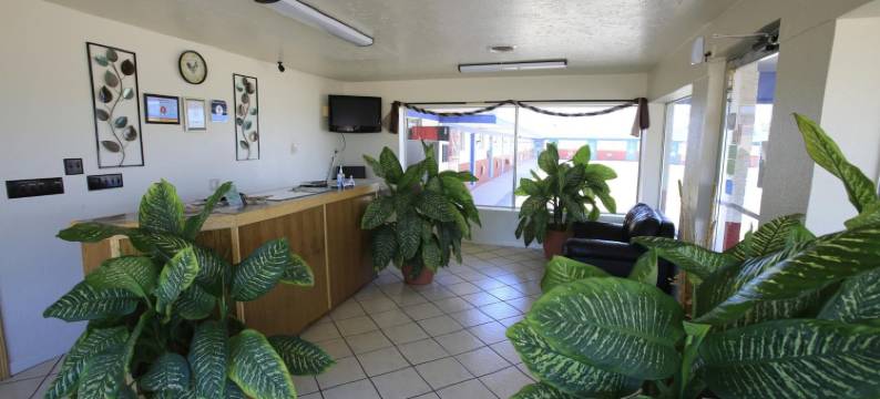 三叶草乡村酒店(Shamrock Country Inn)图片