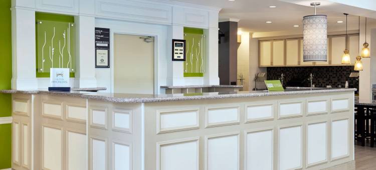 夏洛特北希尔顿花园酒店(Hilton Garden Inn Charlotte North)图片