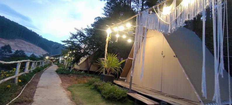 阿米卡杰农场(Amikaje Farm)图片