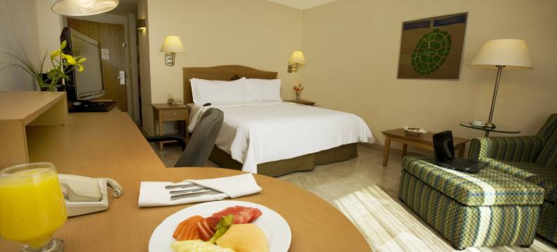 卡门城嘉年华旅馆(Fiesta Inn Ciudad del Carmen)图片