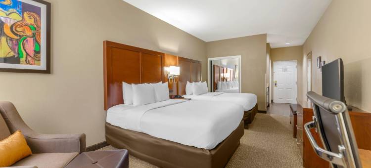 孟菲斯市中心舒适酒店(Comfort Inn Memphis Downtown)图片