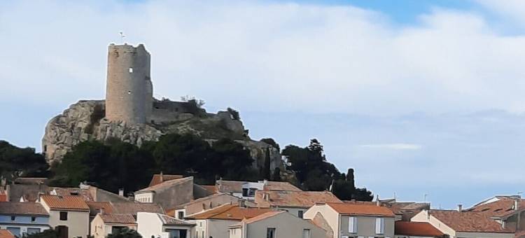 勒科利布里布鲁酒店(Le Colibri Bleu)图片