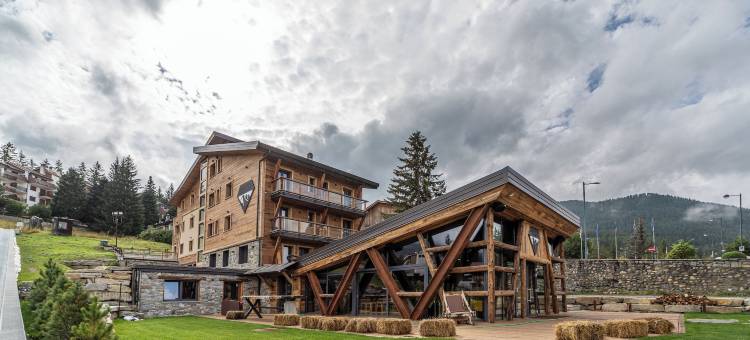 雪崩 - 阿尔卑斯精品酒店(Avalanche - Alpine Boutique Hotel)图片