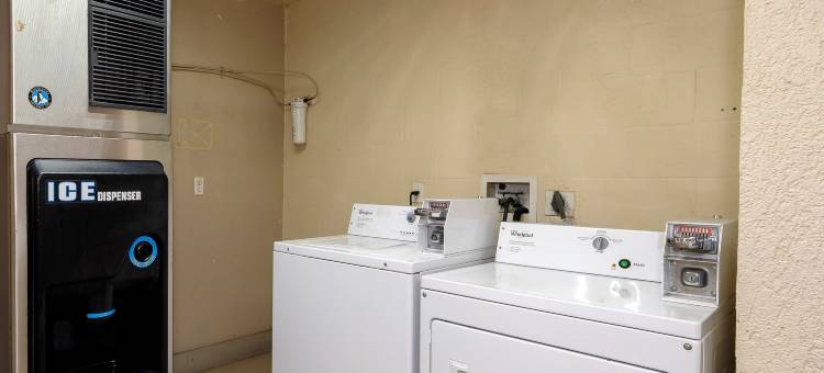 埃伦顿-布雷登顿红顶酒店(Red Roof Inn Ellenton - Bradenton NE)图片