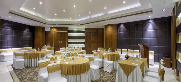 齐普尔纳萨诺瓦之廊酒店(Sarovar Portico Jaipur)图片