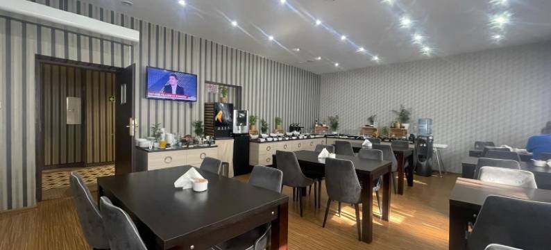 索斯诺维茨艺术酒店(Art Hotel's Sosnowiec)图片