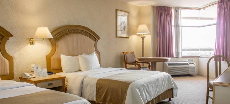 佛罗里达州广场塔贝斯特韦斯特优质酒店(Best Western Plus Plaza Florida  Tower)图片