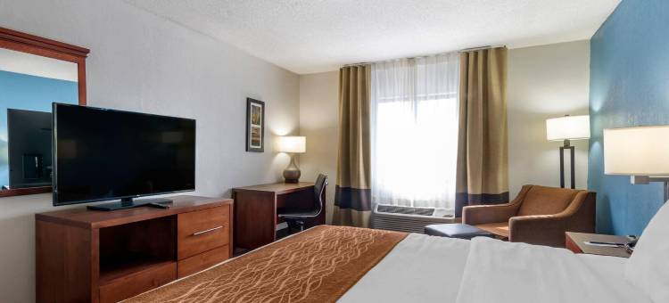 利斯萨米特舒适套房酒店-堪萨斯城(Comfort Inn & Suites Lees Summit - Kansas City)图片