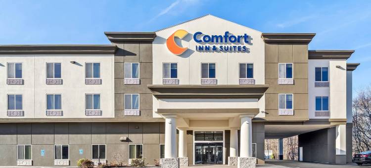 普莱恩维尔-福克斯波罗舒适套房酒店(Comfort Inn & Suites Plainville-Foxboro)图片