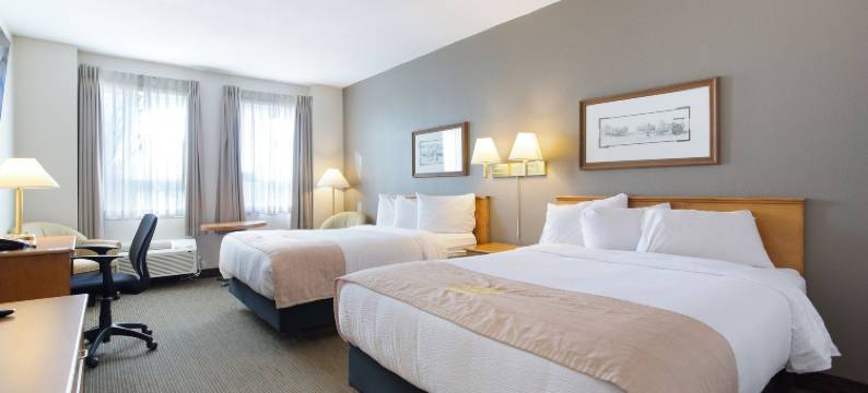 奥克托克斯湖景套房酒店(Lakeview Inns & Suites - Okotoks)图片