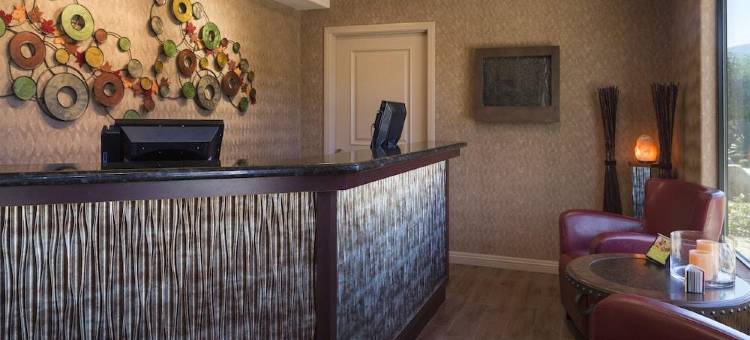 博雷戈斯普林斯度假酒店及水疗中心(Borrego Springs Resort and Spa)图片