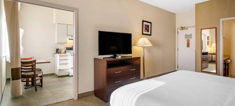 西雅图北舒适套房酒店(Comfort Inn & Suites Seattle North)图片