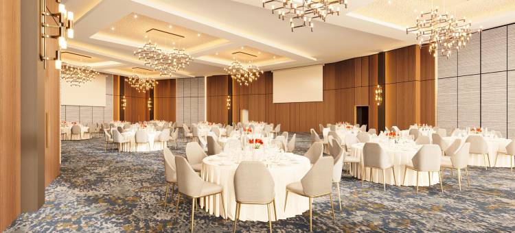 伊兹密特迪洛瓦瑟希尔顿花园酒店(Hilton Garden Inn Kocaeli Dilovasi)图片