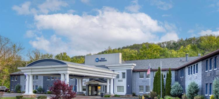 奥韦戈贝斯特韦斯特酒店(Best Western Owego Inn)图片