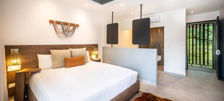 哈科利娅酒店(Lia Hotel Jaco)图片
