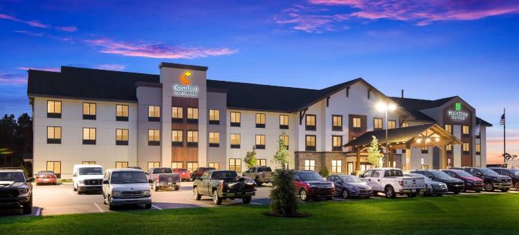 舒适套房酒店盖洛德(Comfort Inn & Suites Gaylord)图片