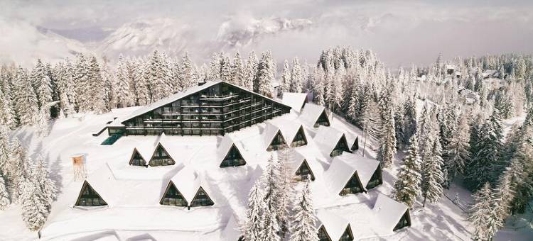 TRIFORÊT阿尔卑斯.resort(TRIFORET Alpin.Resort)图片
