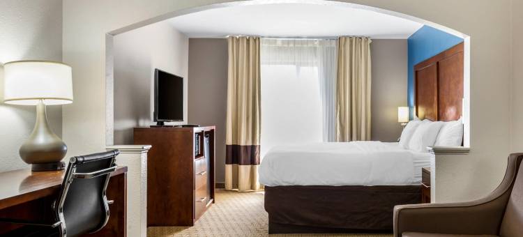 加纳克莱顿I-40舒适酒店(Comfort Inn Garner Clayton I-40)图片