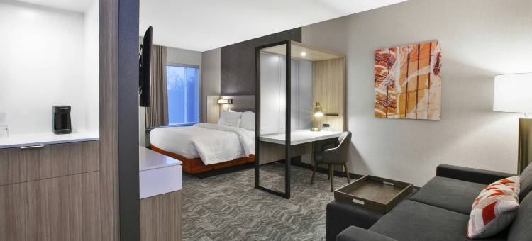 查塔努加北奥特华SpringHill Suites酒店(SpringHill Suites Chattanooga North/Ooltewah)图片