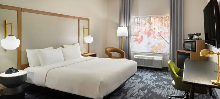 亚特兰大麦克多诺万枫套房酒店(Fairfield Inn & Suites Atlanta McDonough)图片