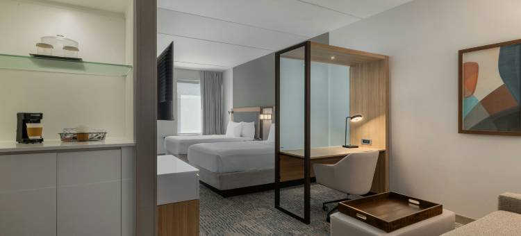 阿伦敦伯利恒森特瓦利SpringHill Suites酒店(SpringHill Suites Allentown Bethlehem/Center Valley)图片