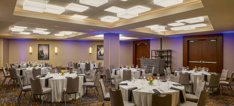 休斯顿乔治布什洲际机场万豪酒店(Houston Airport Marriott at George Bush InterContinental)图片