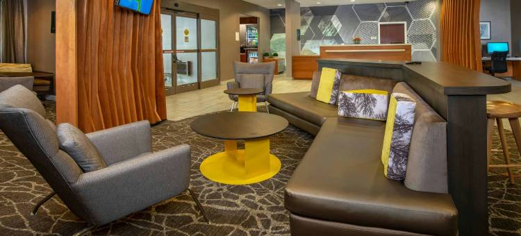 森特维尔尚蒂利SpringHill Suites酒店(SpringHill Suites Centreville Chantilly)图片