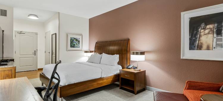 新奥尔良法国区希尔顿花园酒店(Hilton Garden Inn New Orleans French Quarter/CBD)图片