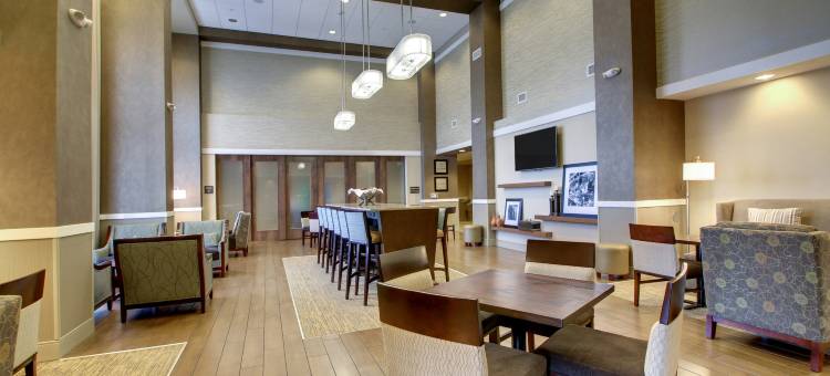 希尔顿欢朋套房酒店-密尔沃基西(Hampton Inn & Suites Milwaukee West)图片