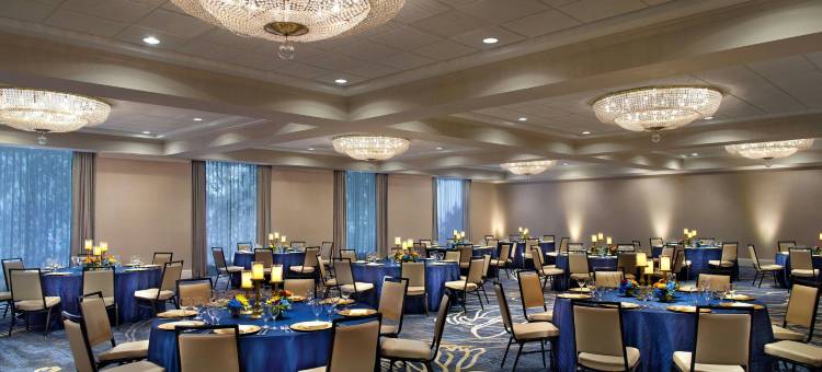 圣安东尼奥北威斯汀酒店(The Westin San Antonio North)图片