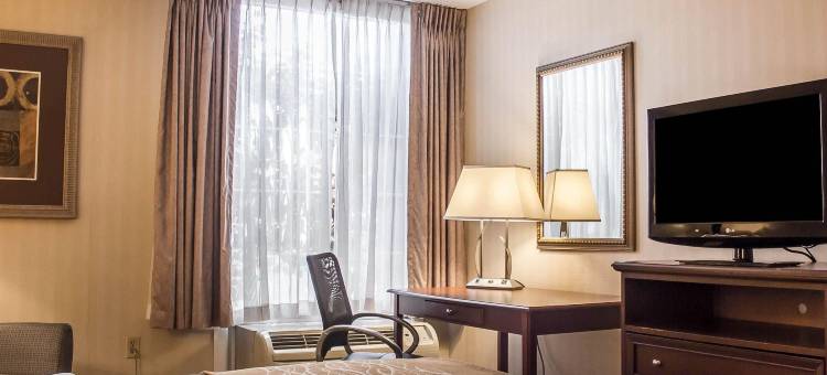 韦瑟斯菲尔德哈特福德舒适酒店(Comfort Inn Wethersfield - Hartford)图片