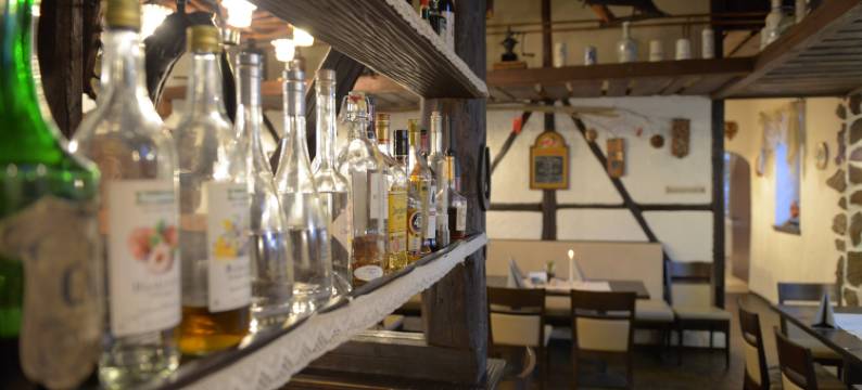 鲍姆霍夫特尼兰德加斯特霍夫酒店(Hotel- Landgasthof Baumhof-Tenne)图片