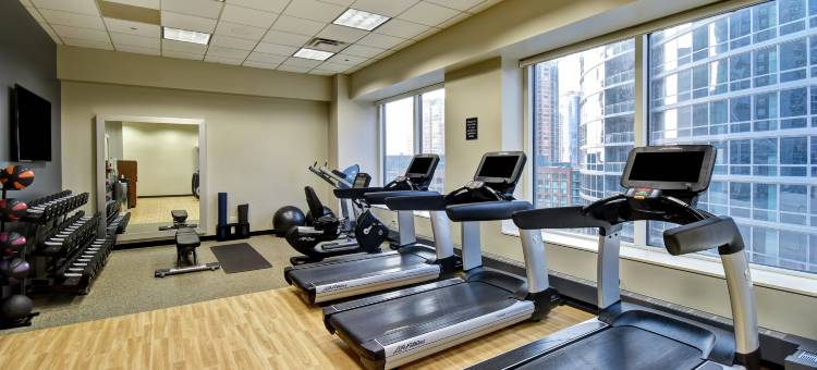 芝加哥市中心华丽一英里希尔顿安泊酒店(Embassy Suites by Hilton Chicago Downtown Magnificent Mile)图片