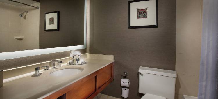 奥克布鲁克芝加哥希尔顿逸林酒店(DoubleTree by Hilton Chicago - Oak Brook)图片