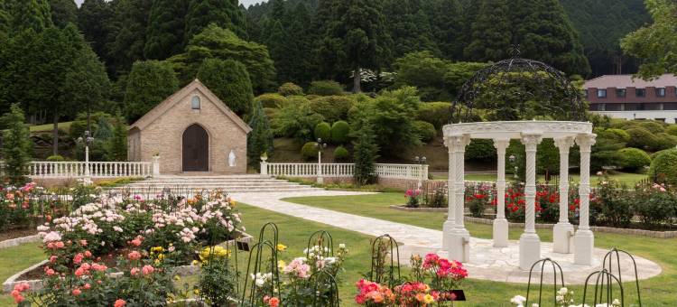 小田急山之酒店(Odakyu Hotel de Yama)图片