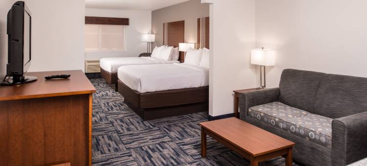 智选假日套房酒店阿拉莫戈多HWY 54/70(Holiday Inn Express & Suites Alamogordo)图片