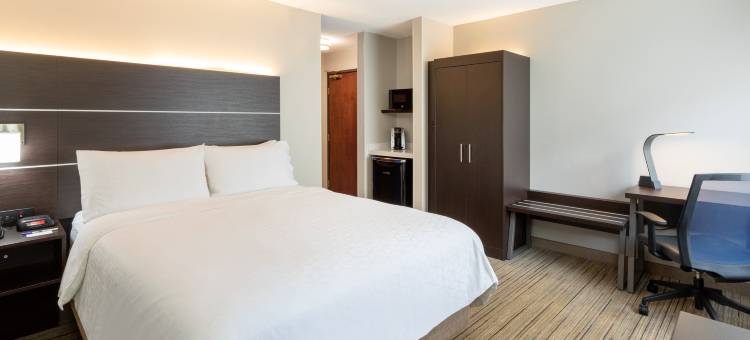 智选假日套房酒店-明尼阿波利斯市区(Holiday Inn Express & Suites Minneapolis-Dwtn (Conv Ctr))图片