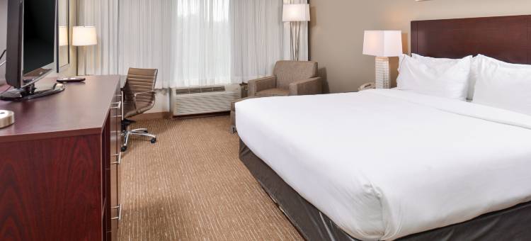 拉法耶特智选假日酒店及套房(Holiday Inn Express & Suites Lafayette)图片