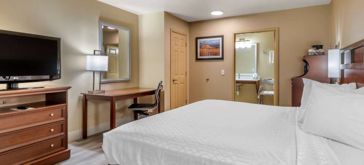 道斯瑞欧贝斯特韦斯特优质酒店(Best Western Dos Rios)图片