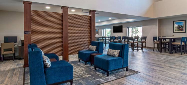 格罗夫城 - 南哥伦布舒适套房酒店(Comfort Suites Grove City - Columbus South)图片