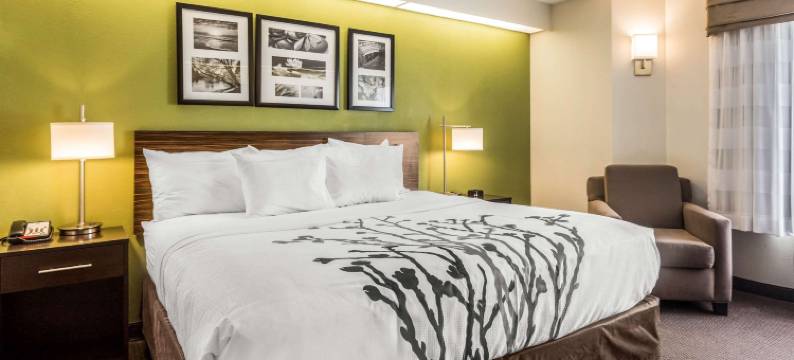 查尔斯顿西阿什利舒眠酒店(Sleep Inn Charleston - West Ashley)图片