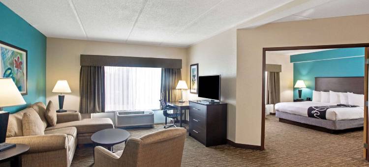 萨拉索塔 I75 舒适套房酒店(Comfort Inn & Suites Sarasota I75)图片