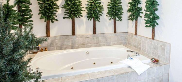 斯波坎瓦利罗德威酒店套房酒店(Rodeway Inn and Suites Spokane)(Rodeway Inn & Suites Spokane East)图片