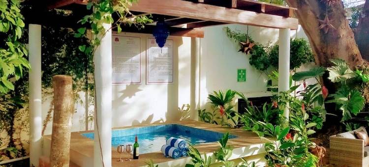 Parota别墅旅馆(Villas Parota Inn)图片