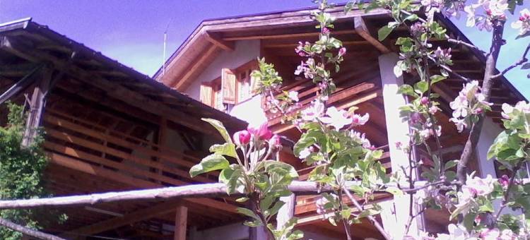 阿格里图斯卡拉纳旅馆(Agritur Scarena)图片