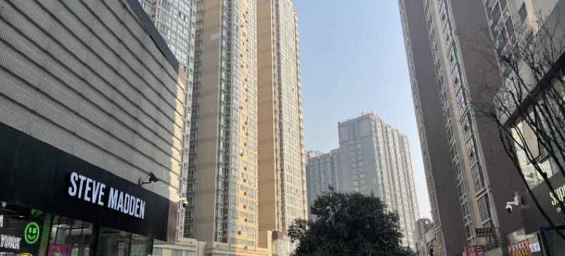 岚小居公寓(高新四路分店)图片