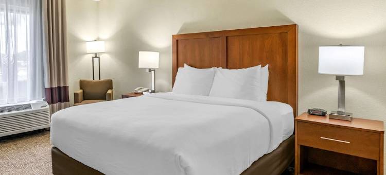 舒适酒店及套房-圣彼得堡-克利尔沃特国际机场(Comfort Inn & Suites St Pete - Clearwater International Airport)图片