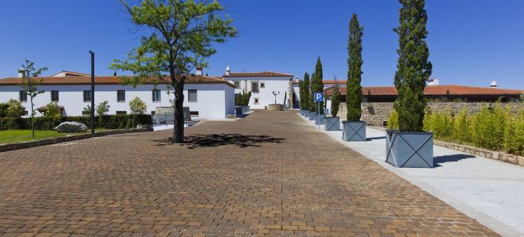 阿雷纳莱斯宫殿霍斯皮斯水疗旅馆(Hospes Palacio de Arenales & Spa)图片