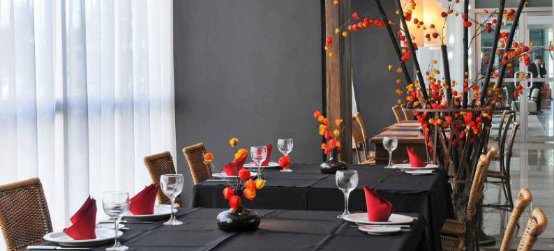 美居巴西利亚利德酒店(Mercure Brasilia Lider)图片